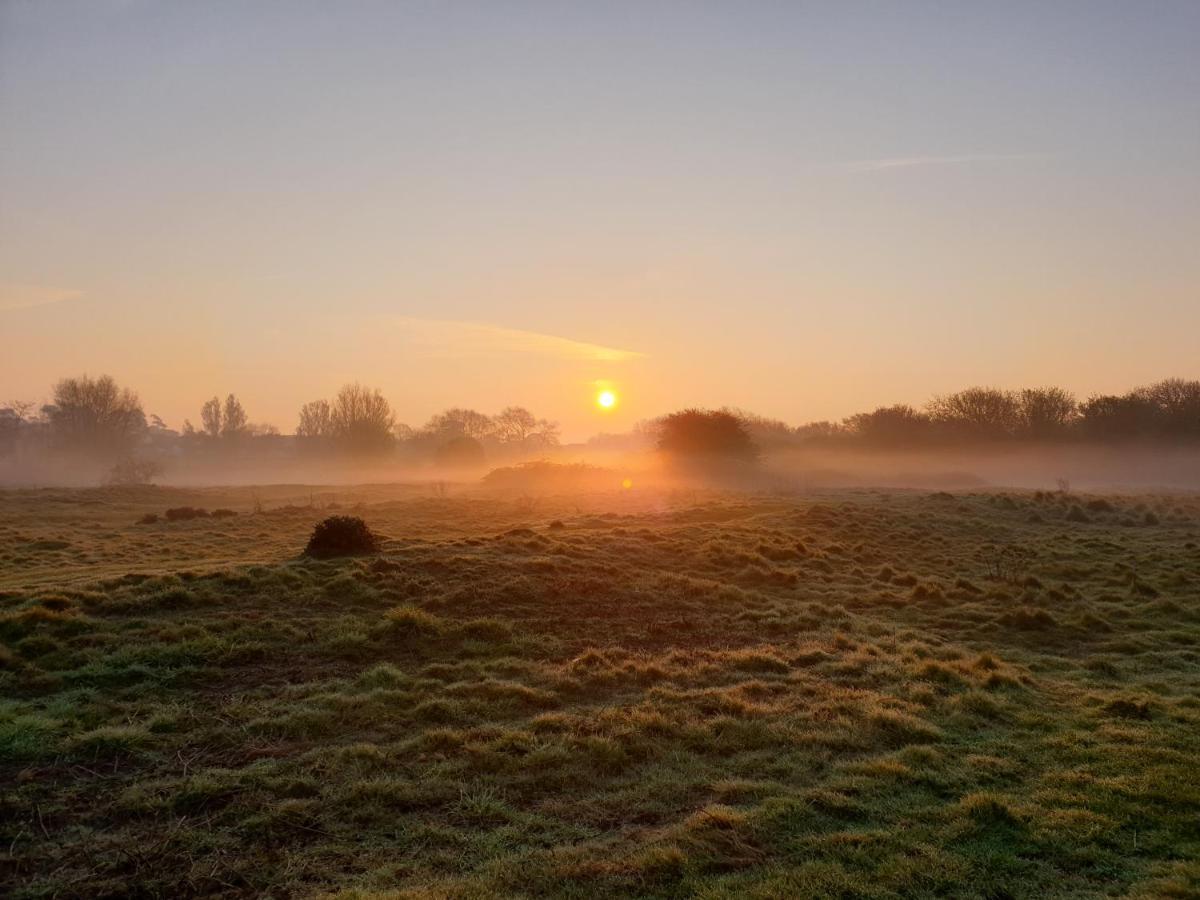 Lions Lodge: Great Location With Hot Tub Ringwood Esterno foto